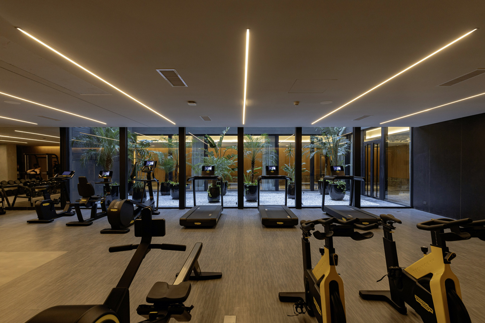 Gimnasio para actividades aeróbicas y de musculación con máquinas de primera línea